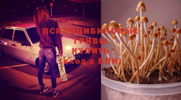 тгк Магадан